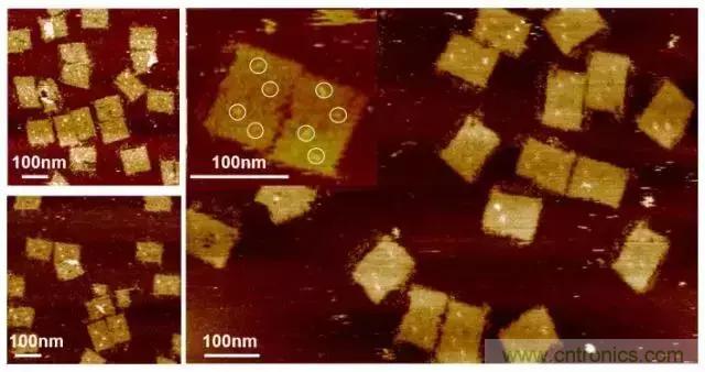 中美科學家聯(lián)手，用DNA納米機器人殺死癌細胞