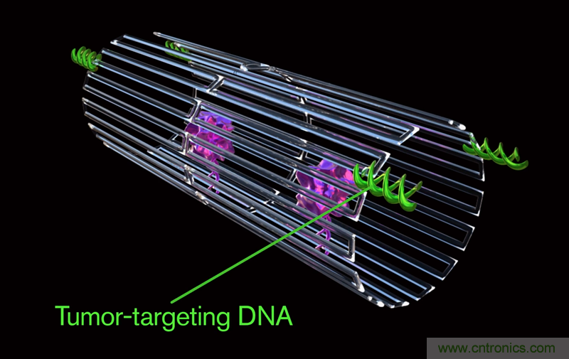 中美科學家聯(lián)手，用DNA納米機器人殺死癌細胞