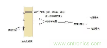 仿生傳感器的定義、原理、分類及應(yīng)用
