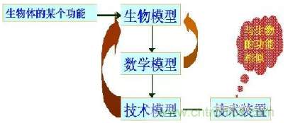 仿生傳感器的定義、原理、分類及應(yīng)用