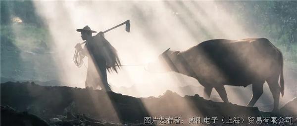 智慧農(nóng)業(yè)大有可為，“數(shù)字種地”更輕松
